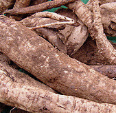 칡 효능 부작용