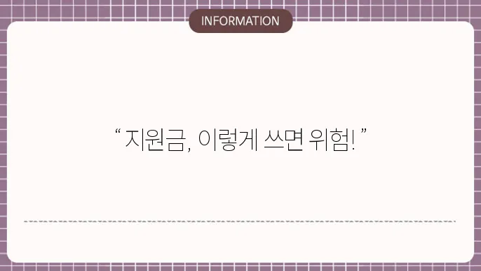 소상공인 지원금 환수: 지원금 사용 주의사항