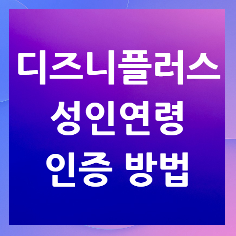 디즈니플러스-성인연령-인증