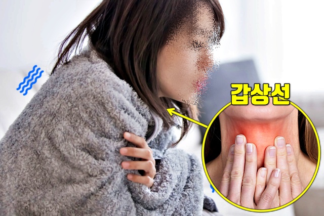 갑상선 기능 저하증 증상, 의사 오진율, 의사 오진 대응 방안, 웰빙 건강 팁줌 매일꿀정보