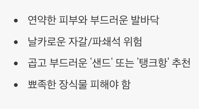 4. '맨발'의 신사, 부드러운 바닥은 필수