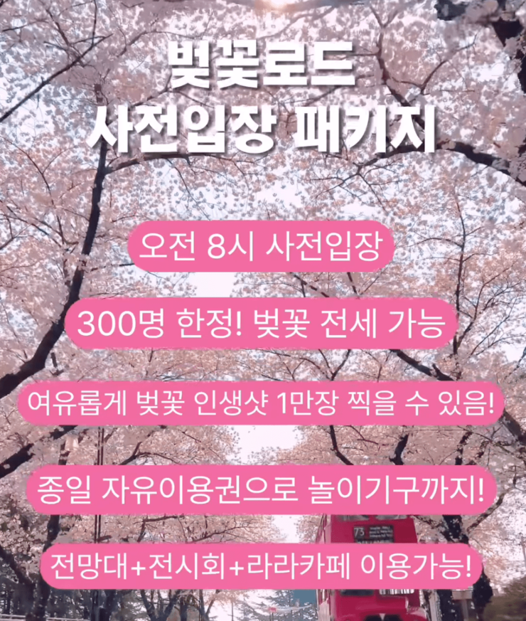 대구 이월드 벚꽃로드 벚꽃축제 오픈런 사전입장 신청 구매방법