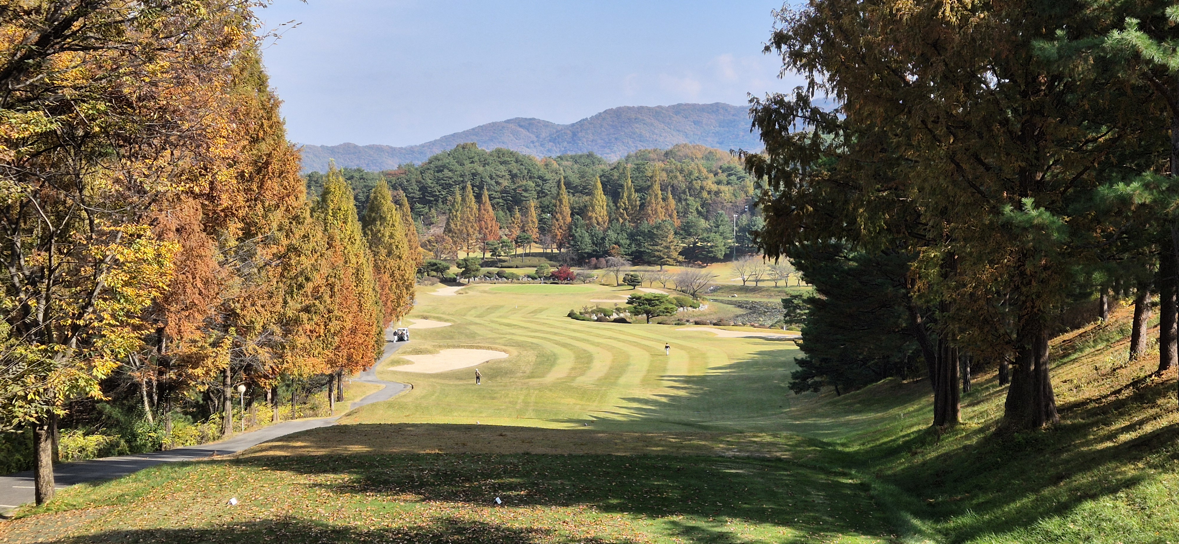 시그너스cc 실크코스 사진 및 공략 정보