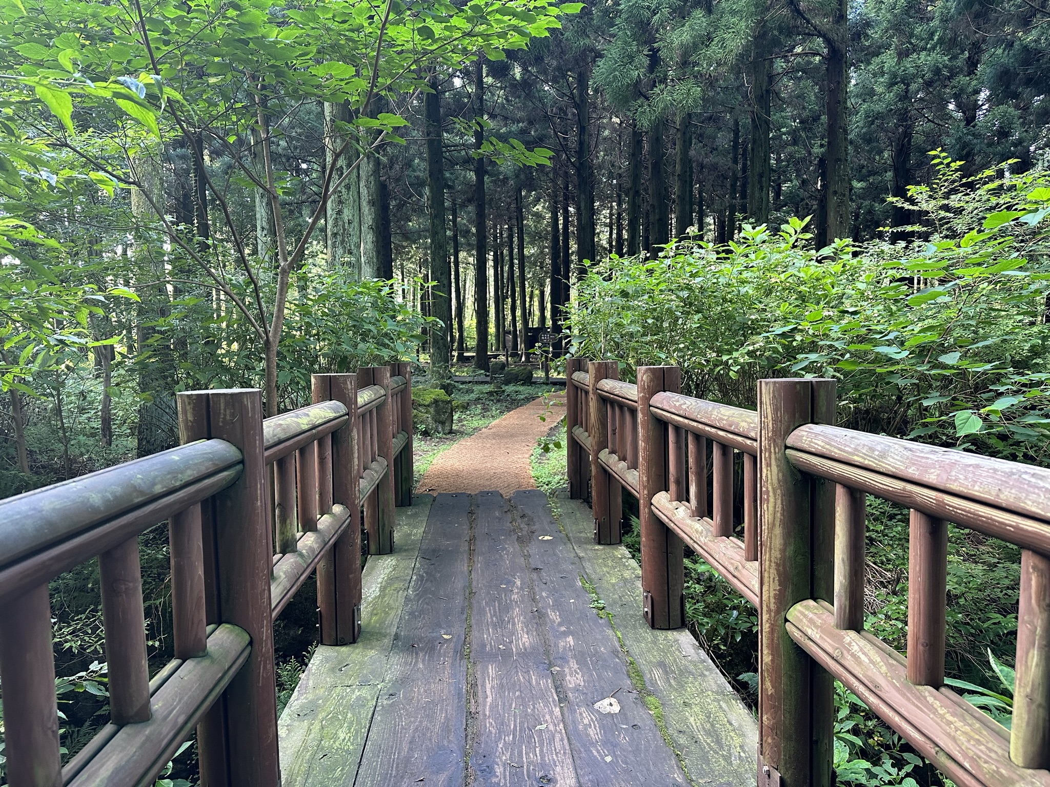 산책로