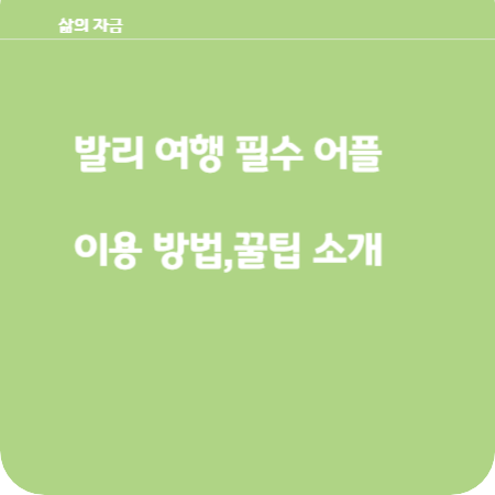 발리 여행 필수 어플 이용 방법,꿀팁 소개
