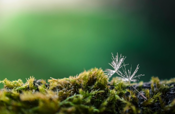검버섯이 생기는 이유 총정리 9