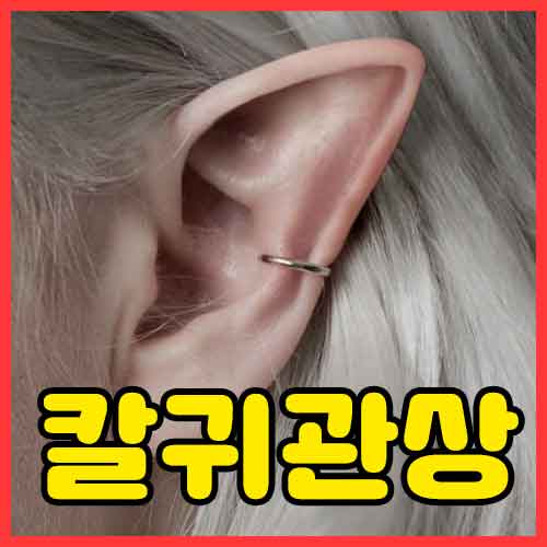 칼귀 관상