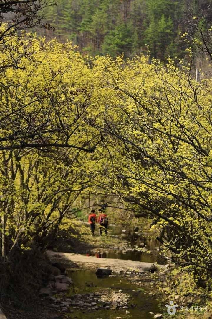 의성 가볼만한곳 베스트10