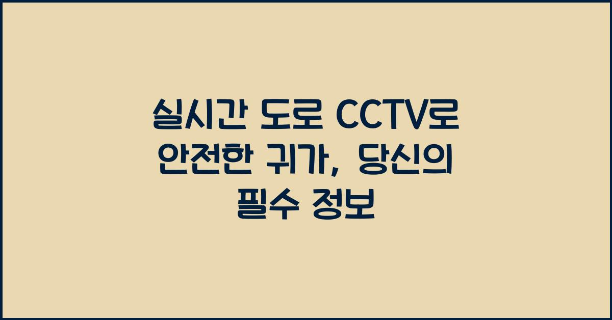 실시간 도로 cctv