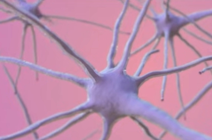 입술 수포 원인