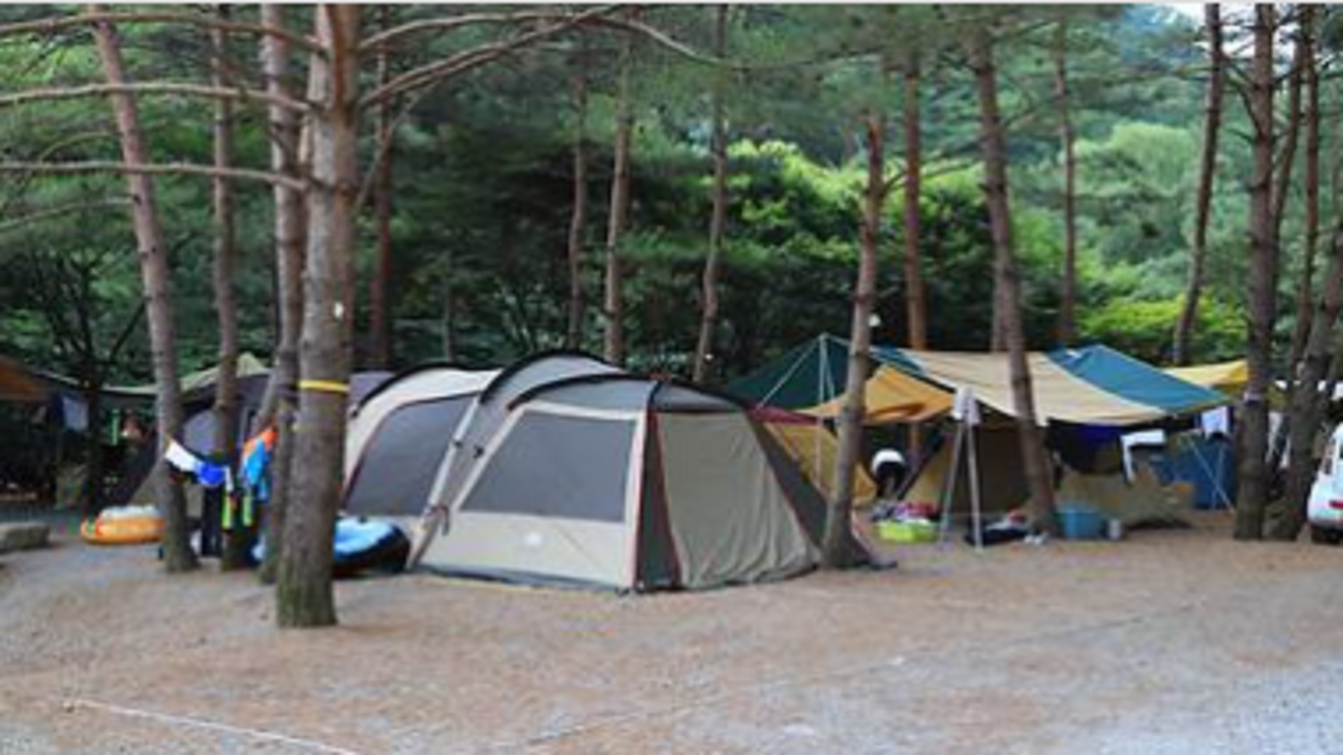 영월군 도원패밀리 캠핑장 예약 바로가기