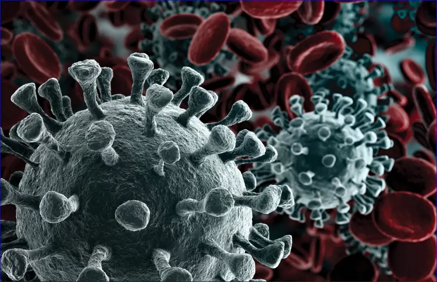 코로나바이러스