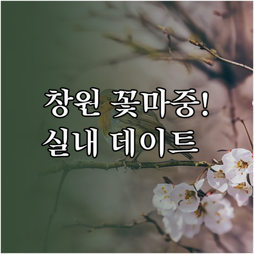 2월 창원 여행 가볼만한곳 꽃마중 코..