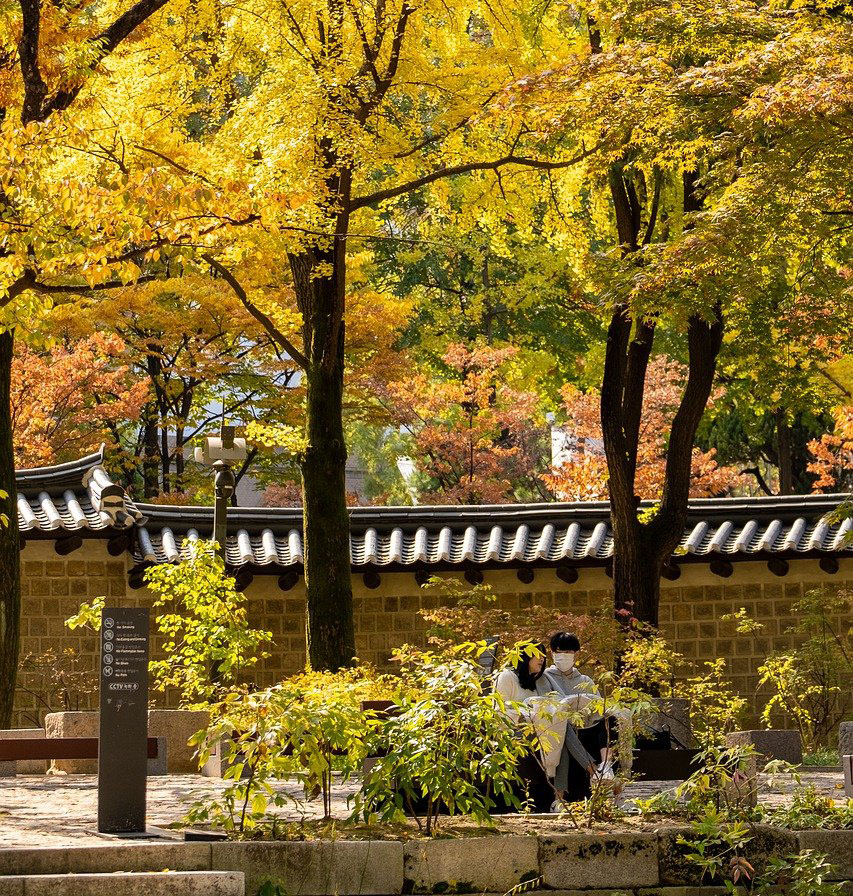 서울 단풍 산책 BEST 5