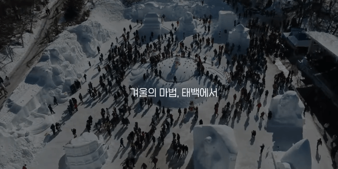 태백산 눈축제 입장료