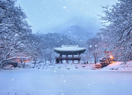 2024 한국사 시험일정과 시험시간(유효기간&amp;#44; 기출문제)