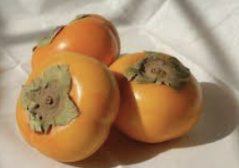 감영어로 다양한 표현과 의미, 완벽 정리