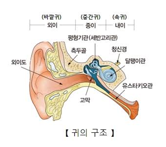 메니에르병 관련 사진