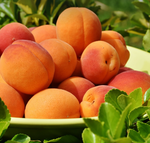 농작물 재해보험 보험금 청구: 구체적인 방법과 절차 안내