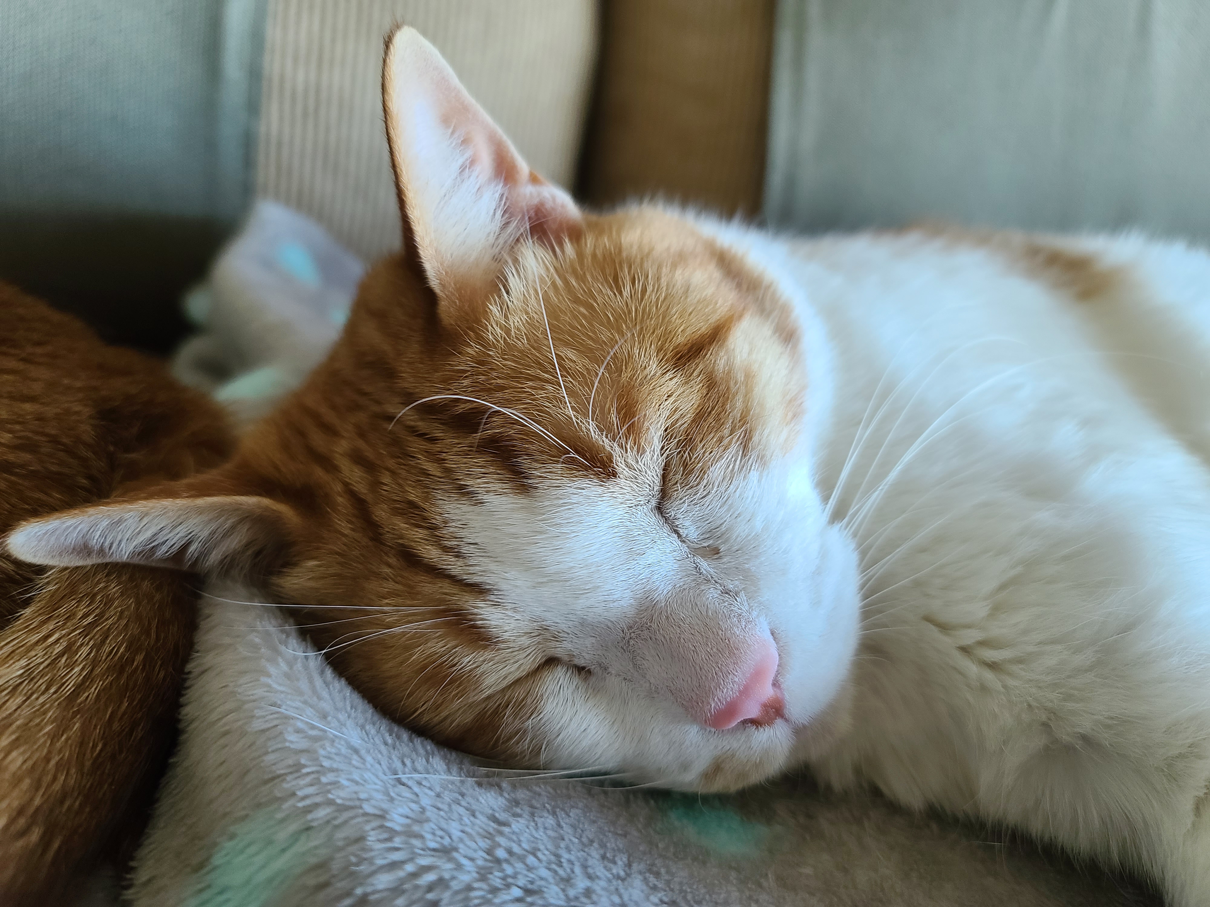 안아달라 칭얼대는 막둥이