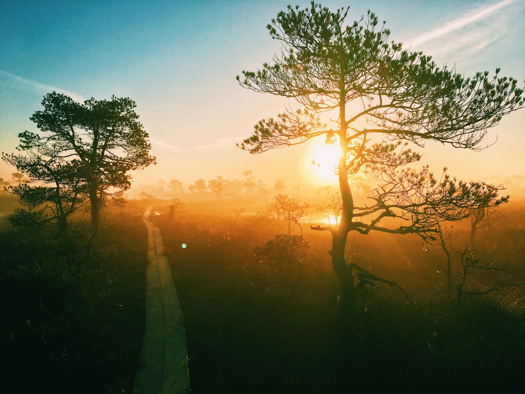 Pathway