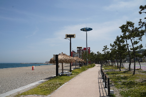 경주 가볼만한 곳 나정고운모래해변