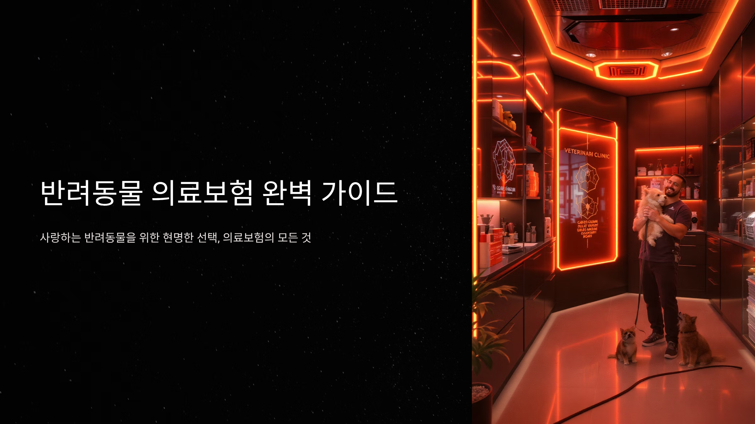 반려동물 의료보험 가입 완벽 정리