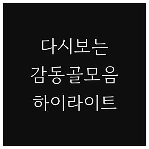 다시 보는 감동! 축구 하이라이트 영