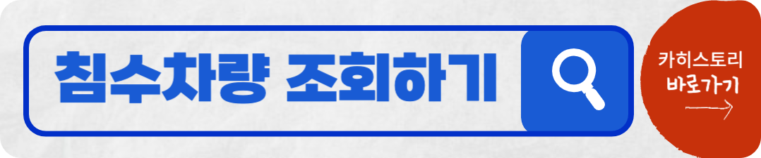 카히스토리 홈페이지에서 무료로 침수차량을 조회할 수 있다.