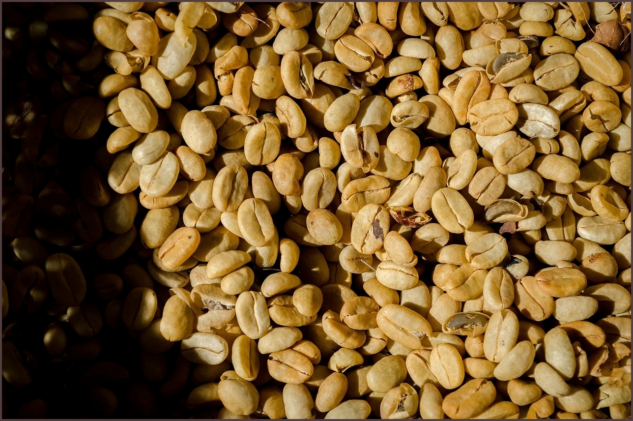 아이오닉9 가격