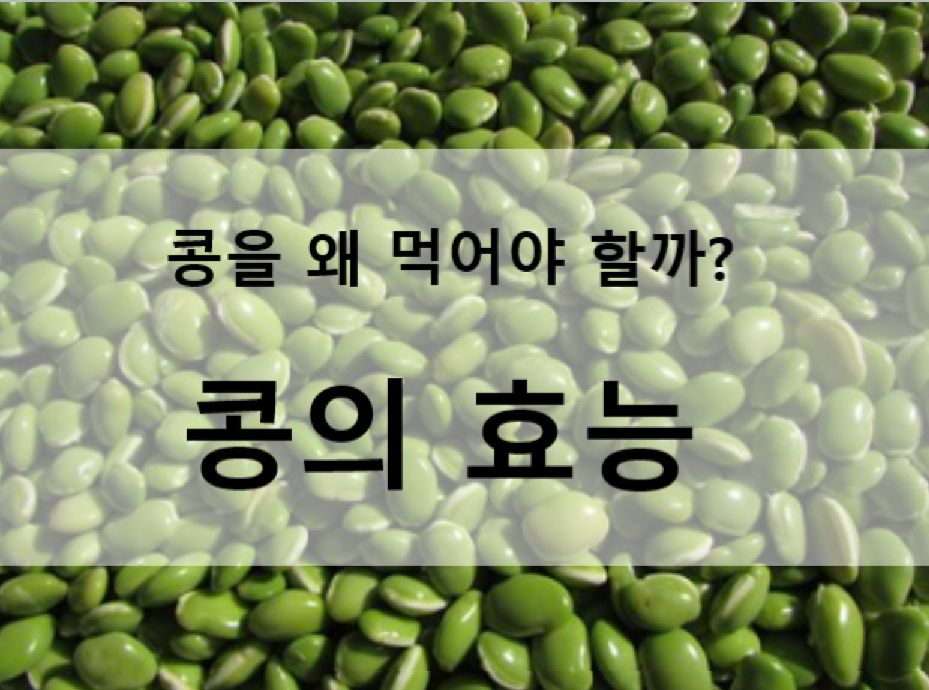 출천 :&nbsp;pixabay