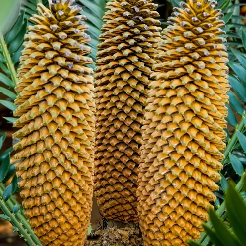 조경기능사 자격증 시험일정