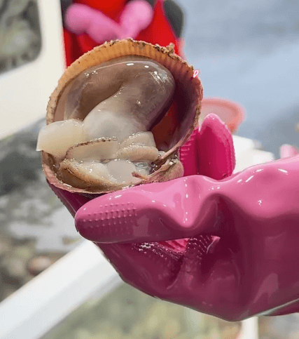 남당리 새조개 축제