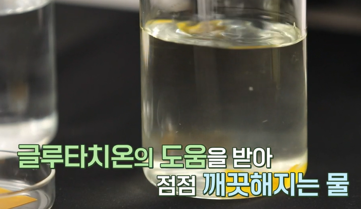 글루타치온 효능