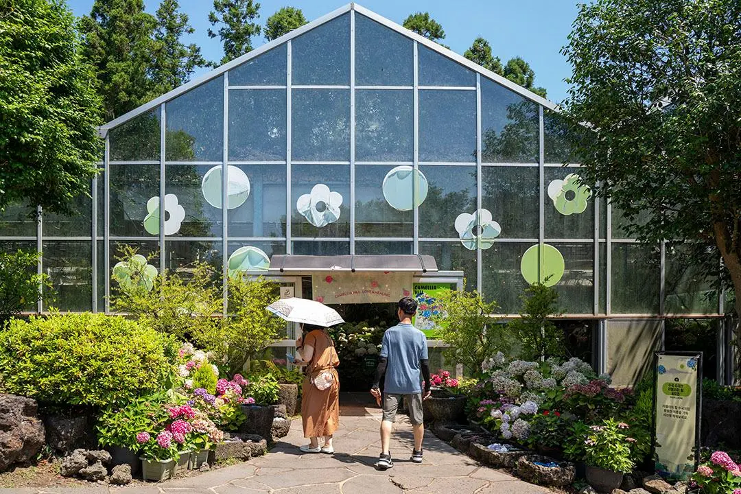 카멜리아힐 관련 사진 (출처: 제주관광공사 홈페이지)