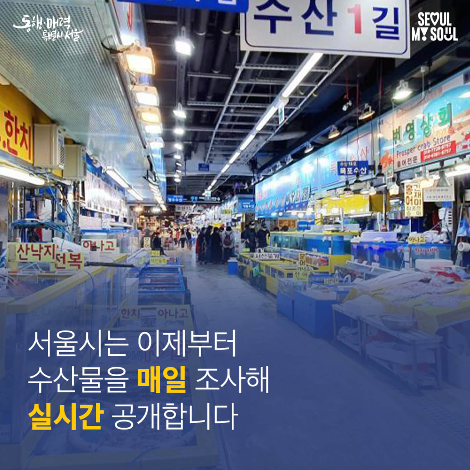 서울시 방사능 조사