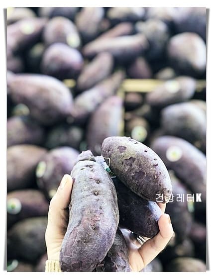 고구마 13