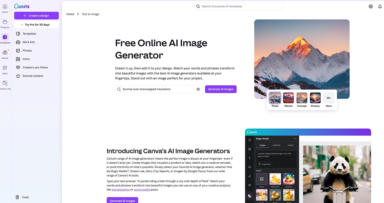 The main screen of Canva