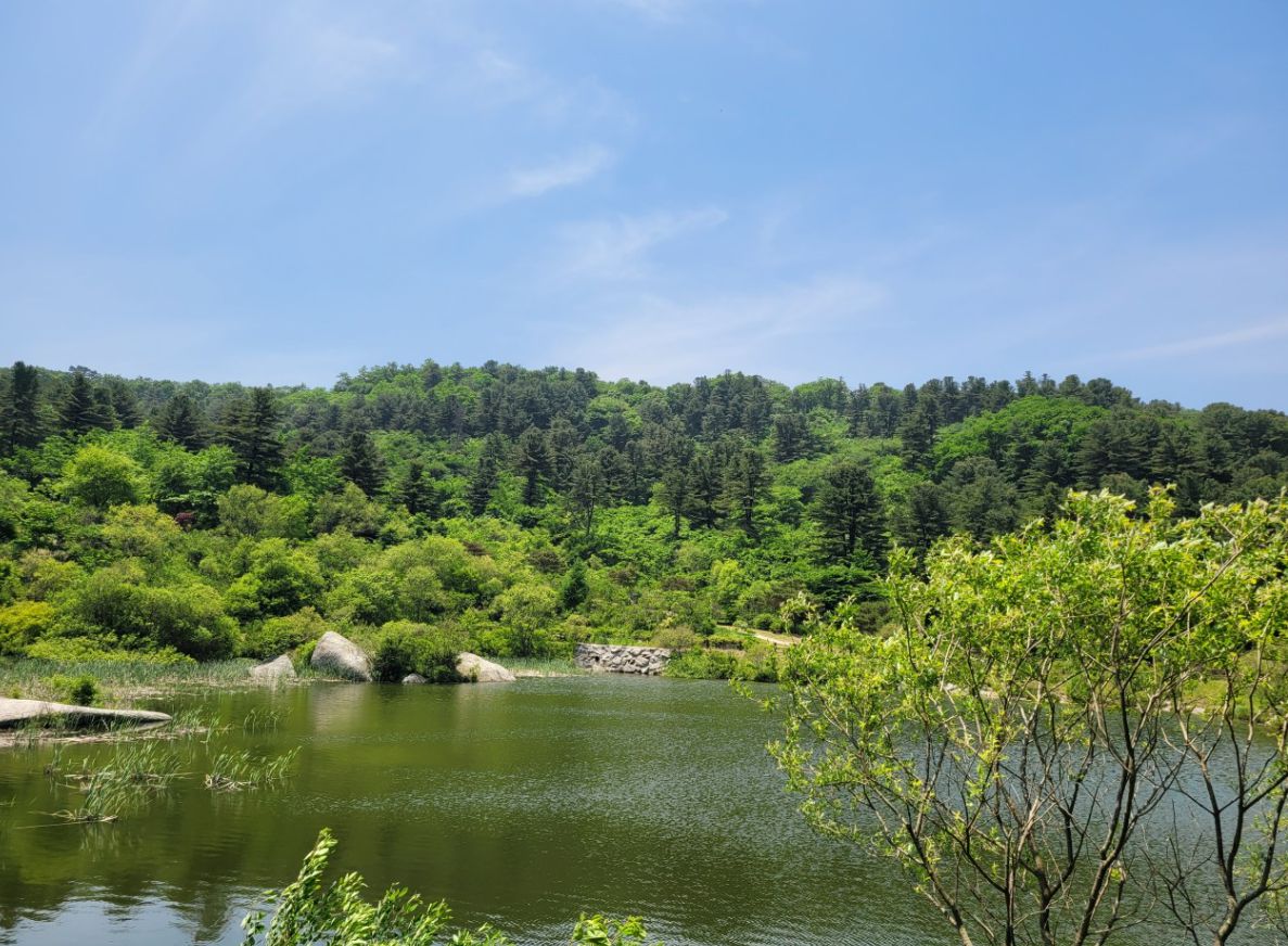 경기도잣향기푸른숲