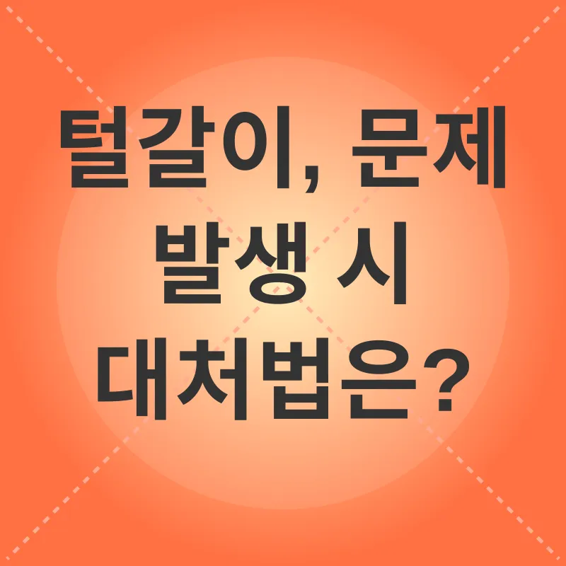 고양이 털갈이 관리_3