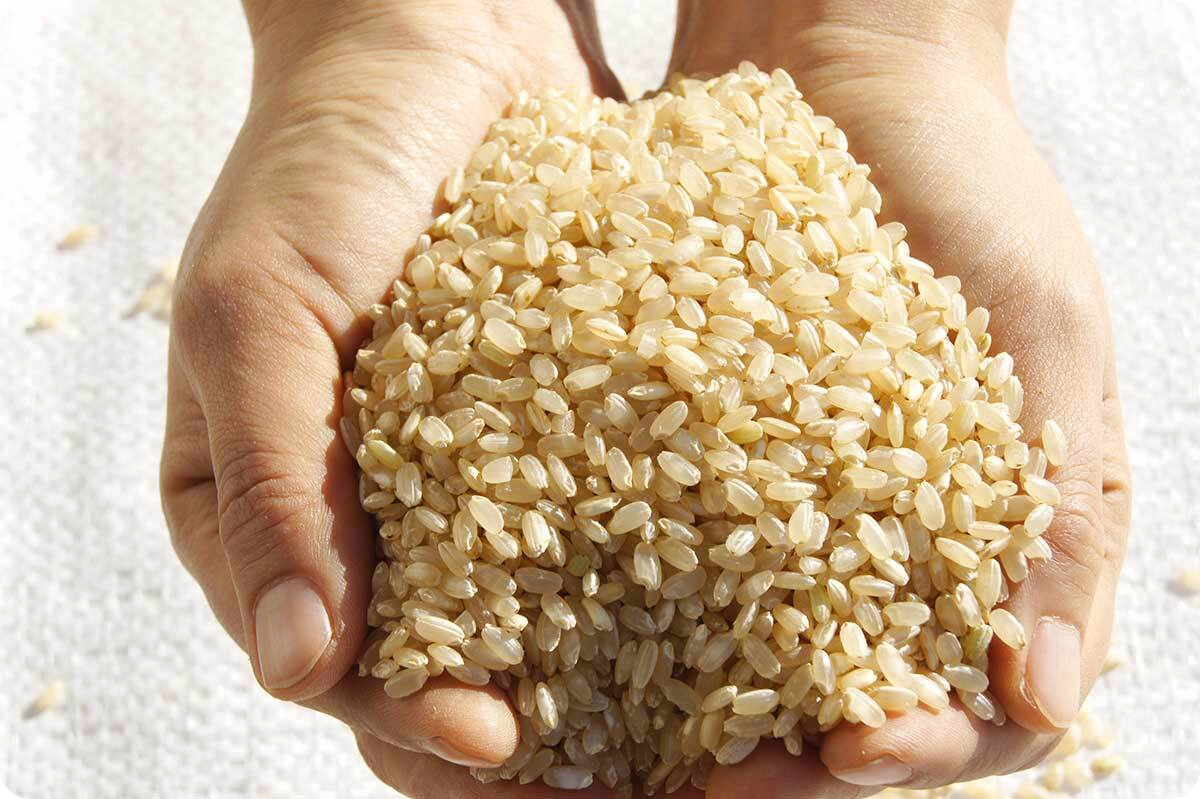 마그네슘이-많은-음식