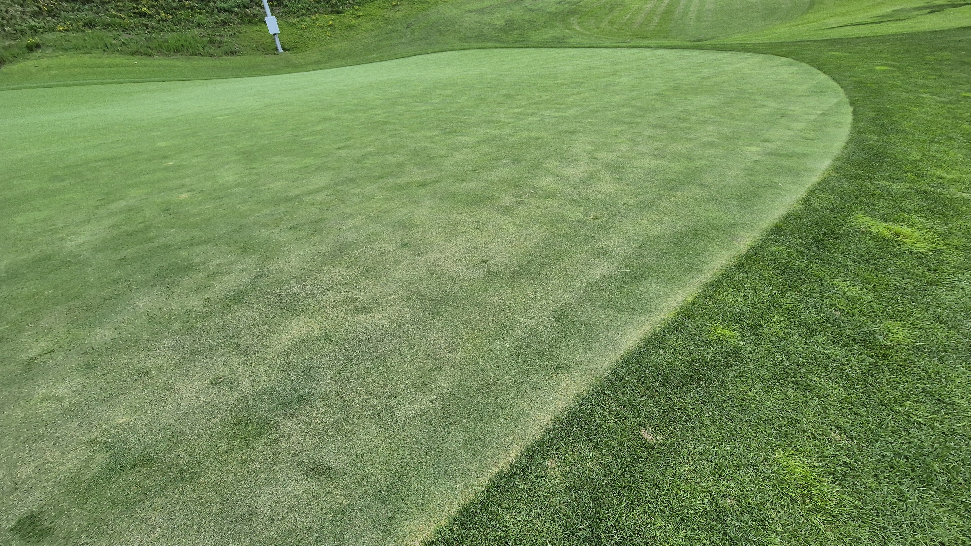 참밸리cc 라운드 후기