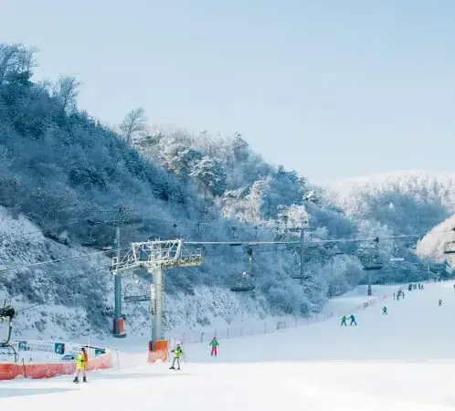 엘리시안강촌 스키장 전경