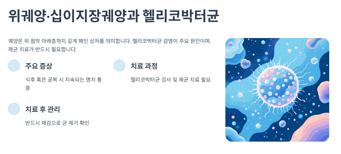 위궤양·십이지장궤양과 헬리코박터균
