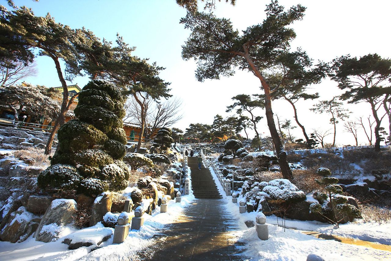 인천 연수구 반려견 겨울 나들이 명소, 강아지와 함께 걷기 좋은 산책 코스