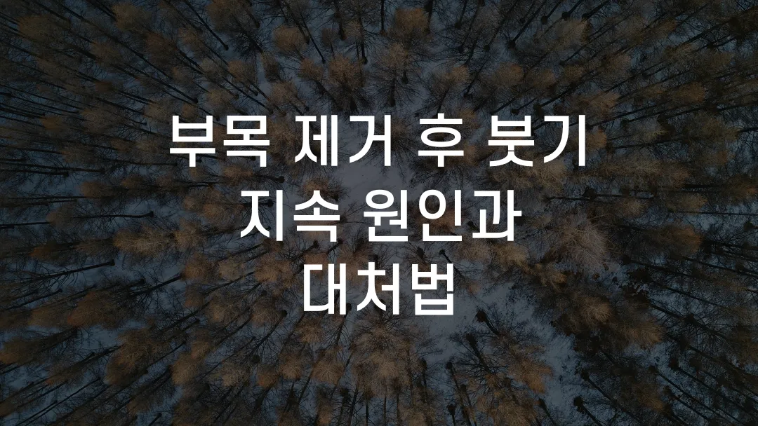 부목 제거 후 붓기 지속 원인과 대처법