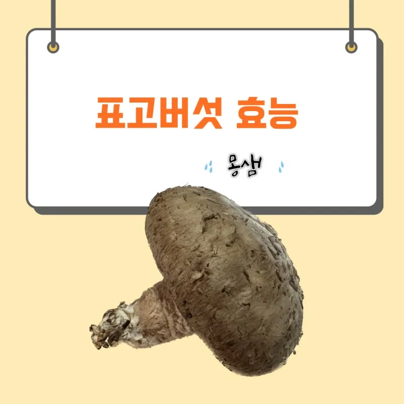 표고버섯 효능_4
