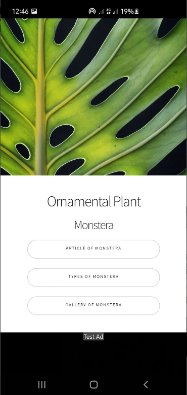 몬스 테라 관상용 식물 기법