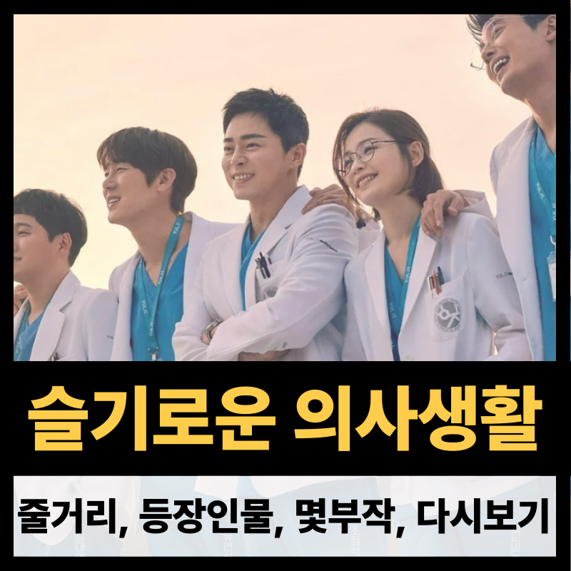 슬기로운 의사생활 시즌2 등장인물, 줄거리, 몇부작, 다시보기