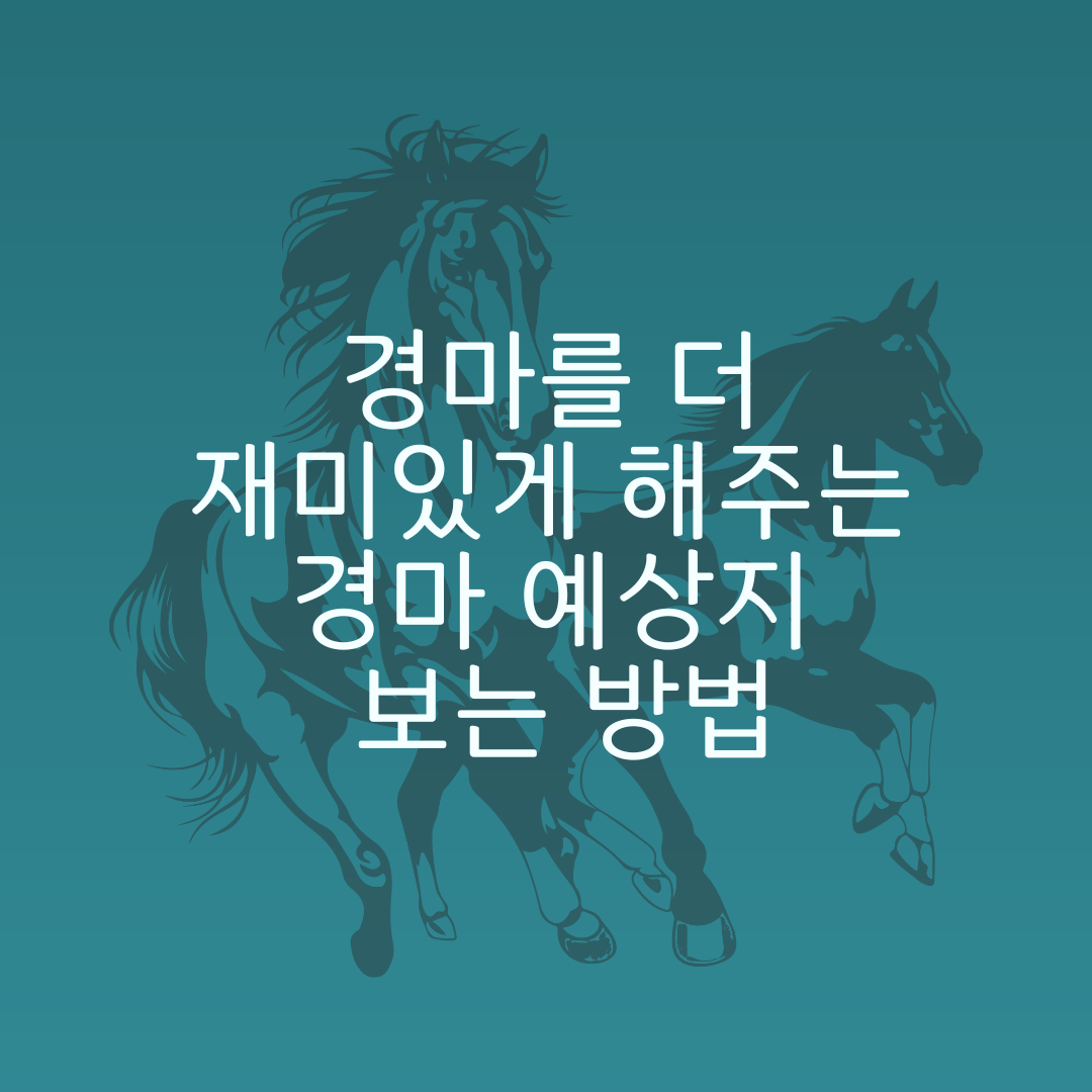 경마를 더 재미있게 해주는 경마 예상지 보는 방법